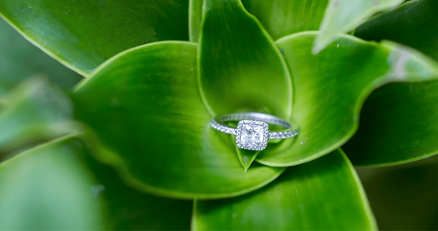 What Sustainability Means to Us - Ring Premier