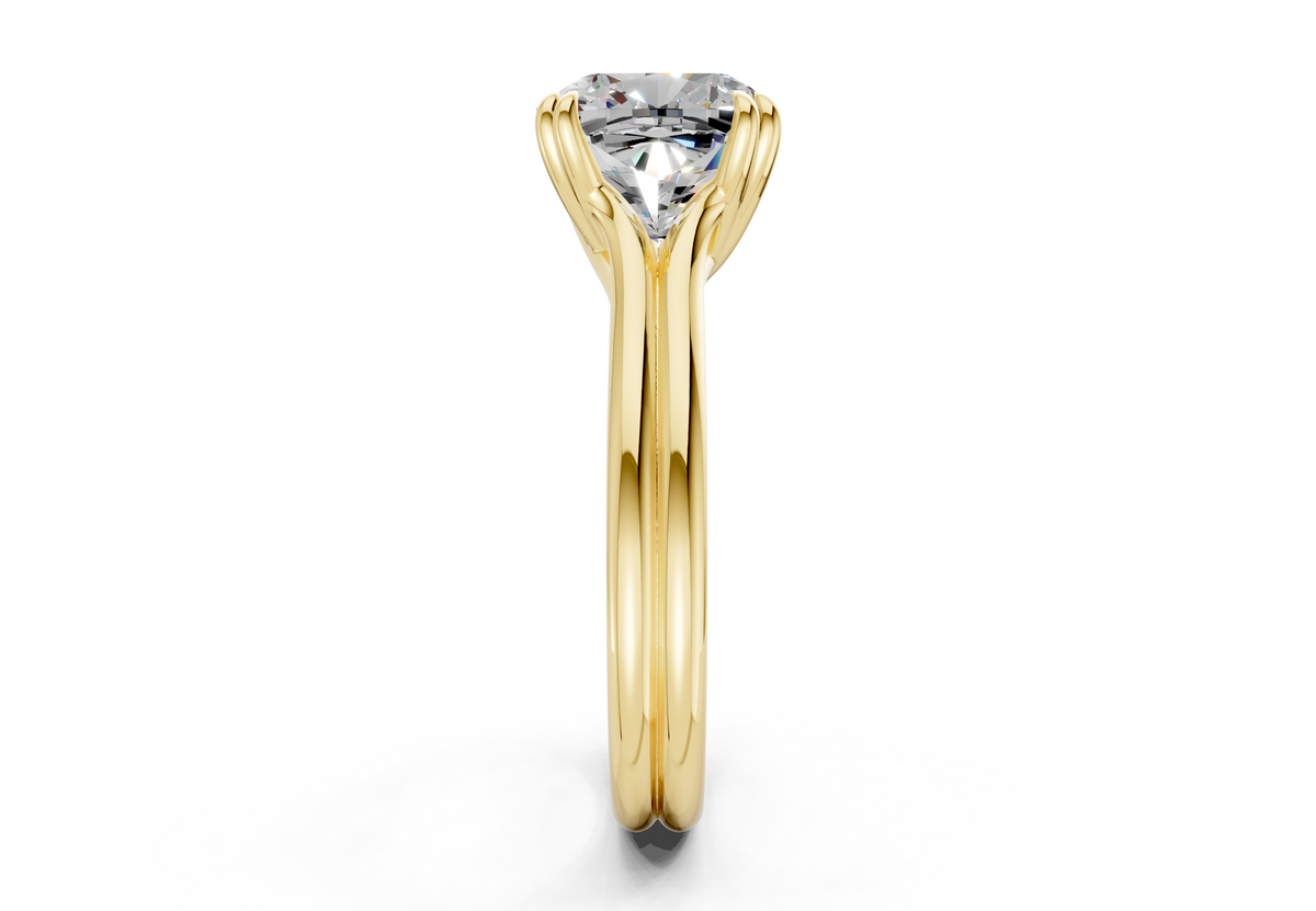 The Ludlow Power Engagement Ring