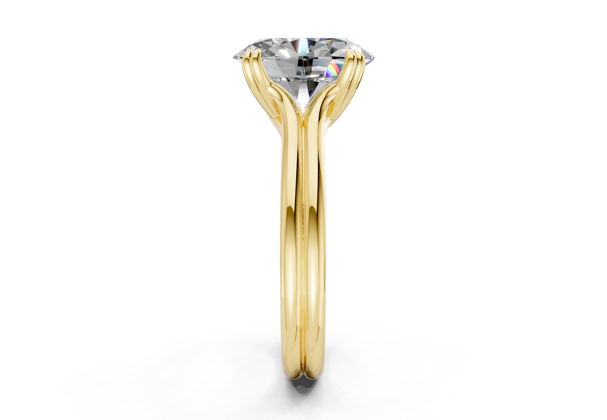 The Ludlow Power Engagement Ring