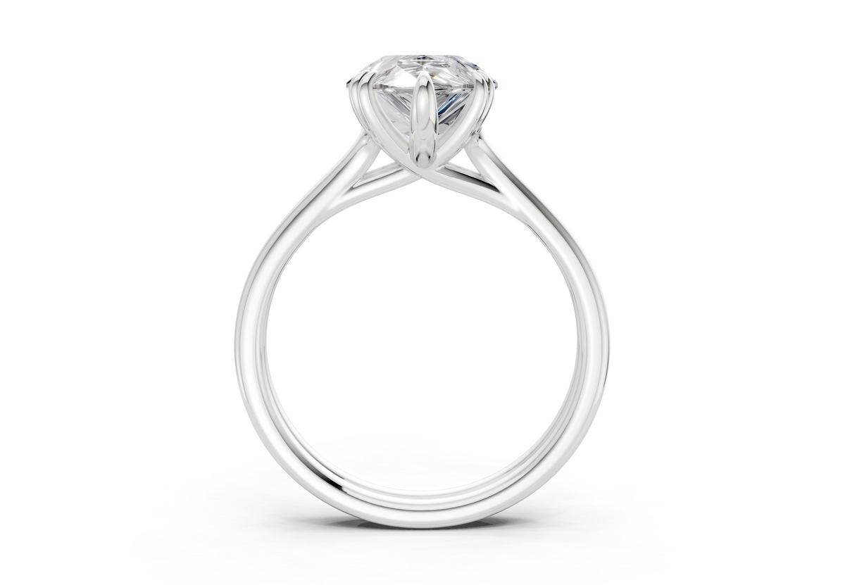 The Ludlow Power Engagement Ring