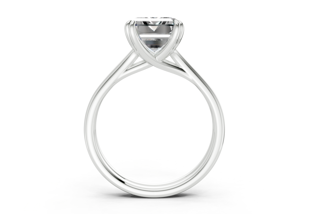 The Ludlow Power Engagement Ring