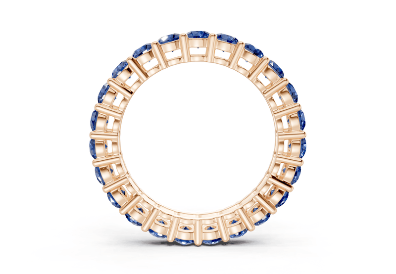 Petite Melrose Round Cut Sapphire Gemstone Eternity Band 2½ Carat Total Wt. - Ring Premier
