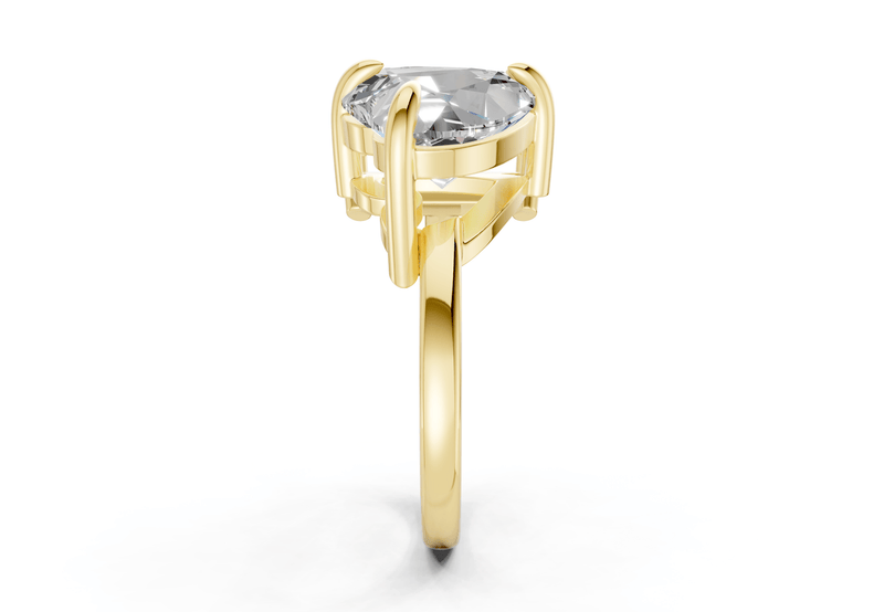 The Duet Signature Engagement Ring - Ring Premier